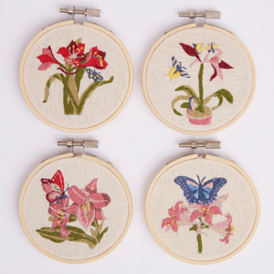 RHS Embroidery Hoop Decoration Kit Butterfly and Flora